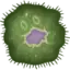 Dogenoob avatar