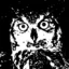 Owlreal avatar