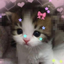 SleepylittleHush avatar