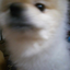 marckyrellg avatar