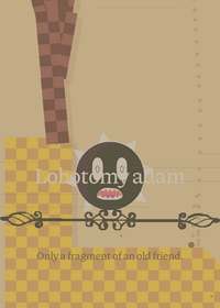 Bonus unfinished deck