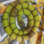 Snack24Thesnake avatar