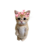 ElGato_OFFICIAL avatar