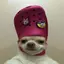 DoggoCreator avatar