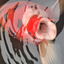 fish_bowl avatar