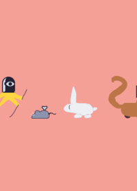 Castle animal size comparison