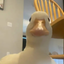 WrinkleTheDuck avatar
