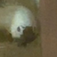 SomeCastleUser avatar
