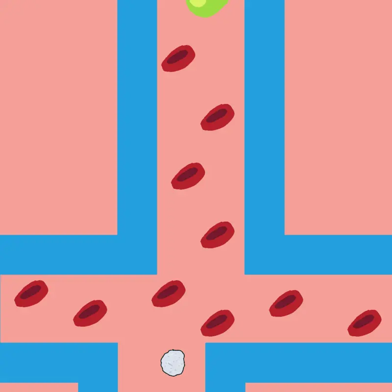#bacteria #bloodcells by @castledude26