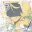 CH33S3C4K3 avatar