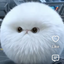 Aspen_dental avatar