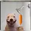 doge_r avatar