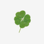 cloverly avatar