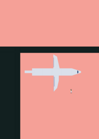 Plane crash physics VI (Standard plane...