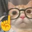 S1LLY_AGENT avatar