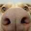 Zoeykk202 avatar