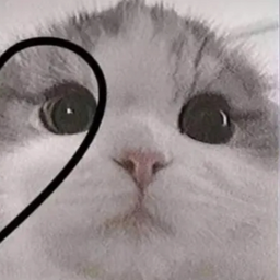 @B3rryB0tF4n
