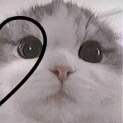 @B3rryB0tF4n