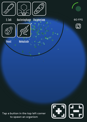 snapshot