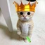 MinikingStudios avatar