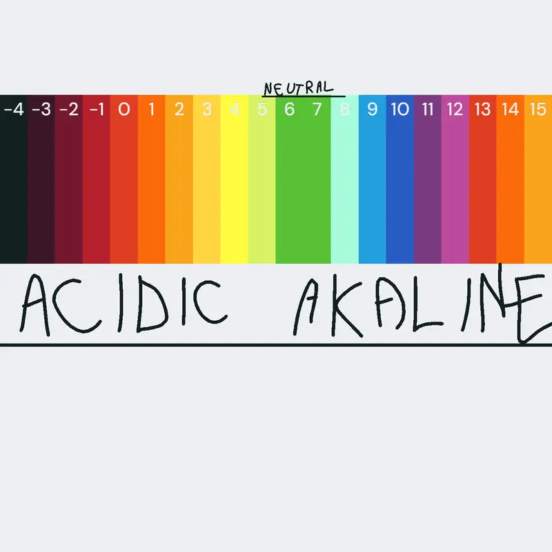 Game by @24554