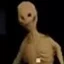 verity_monster avatar