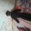 feferik2 avatar