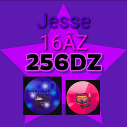 @ZDOH_256DZ