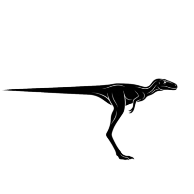 @T-REX2026