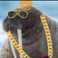 golden_walrus avatar