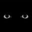 visionare avatar