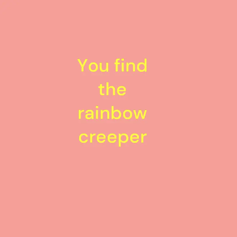 Rainbow creeper! by @Sayrezx