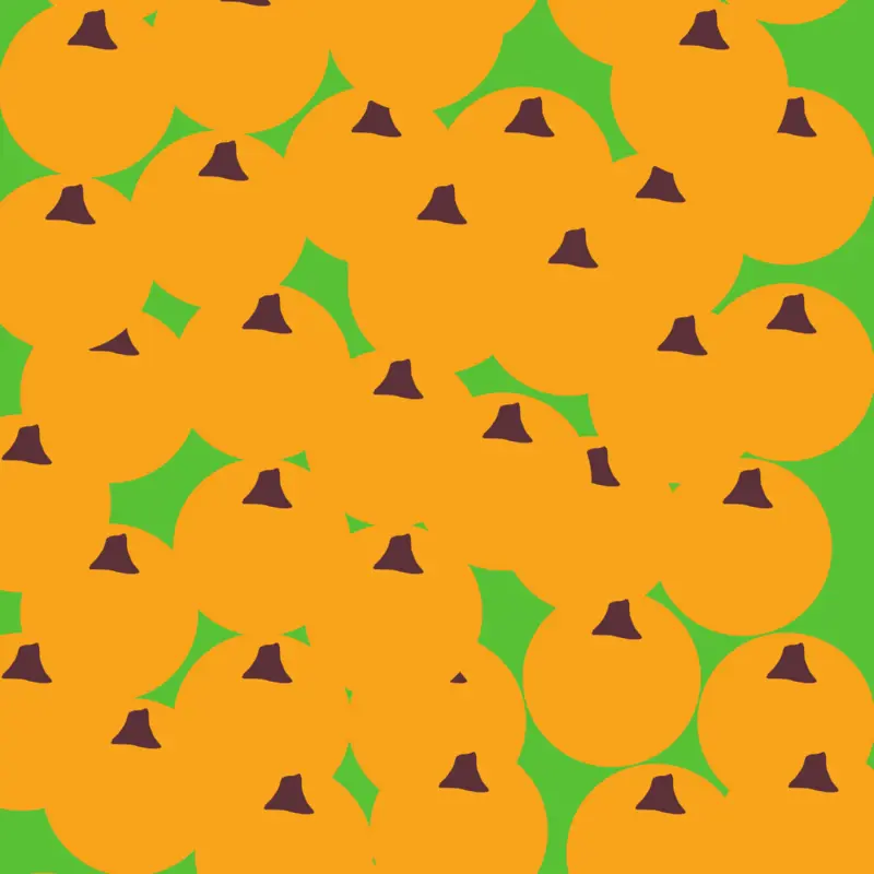 Pumpkin patch by @lmalan