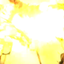 Fernandyboom avatar