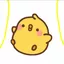 two_ducks-official avatar