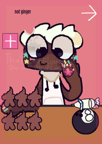 feed cosmo!