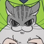 MirayMirM996 avatar