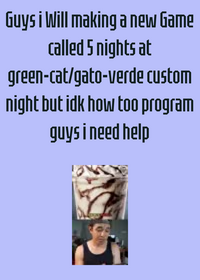 5 nights at @gato-verde