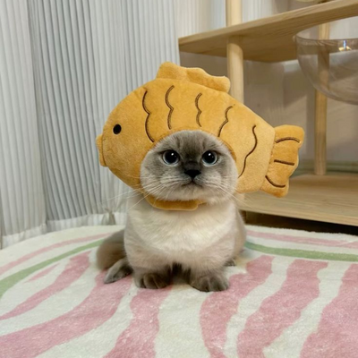 @breadii_loafzzx