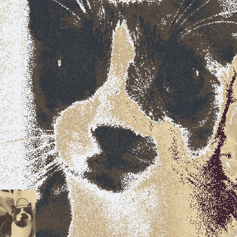 He is cute my cat by @MrBill2018