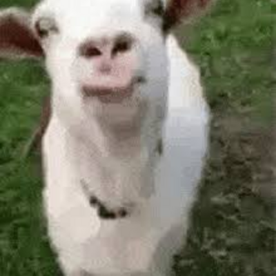@goat124