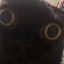 BroccoliBurps avatar