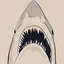 shark24 avatar