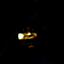 guyman0198 avatar
