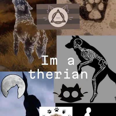 @Fox_therian