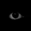 Le_Sammy_DeD32 avatar