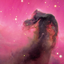 Becabecoo-BR avatar