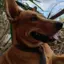 jyus avatar