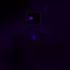 PUR0A-1019 avatar