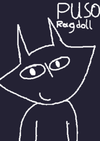 PUSO ragdoll